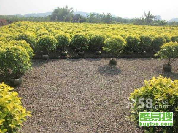 天津薊縣酷易搜